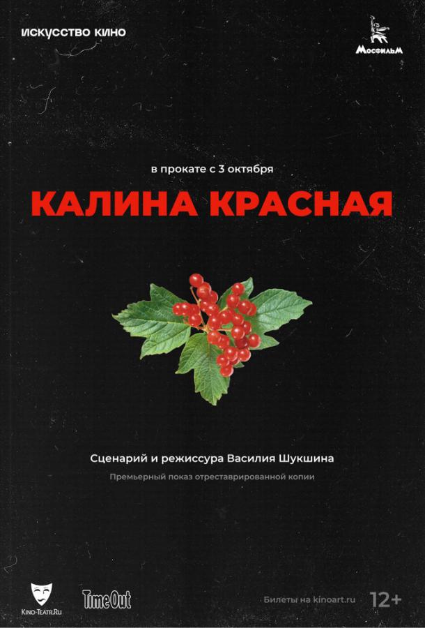 Фильм Калина красная 1973 года смотреть онлайн с Лидией Федосеевой-Шукшиной